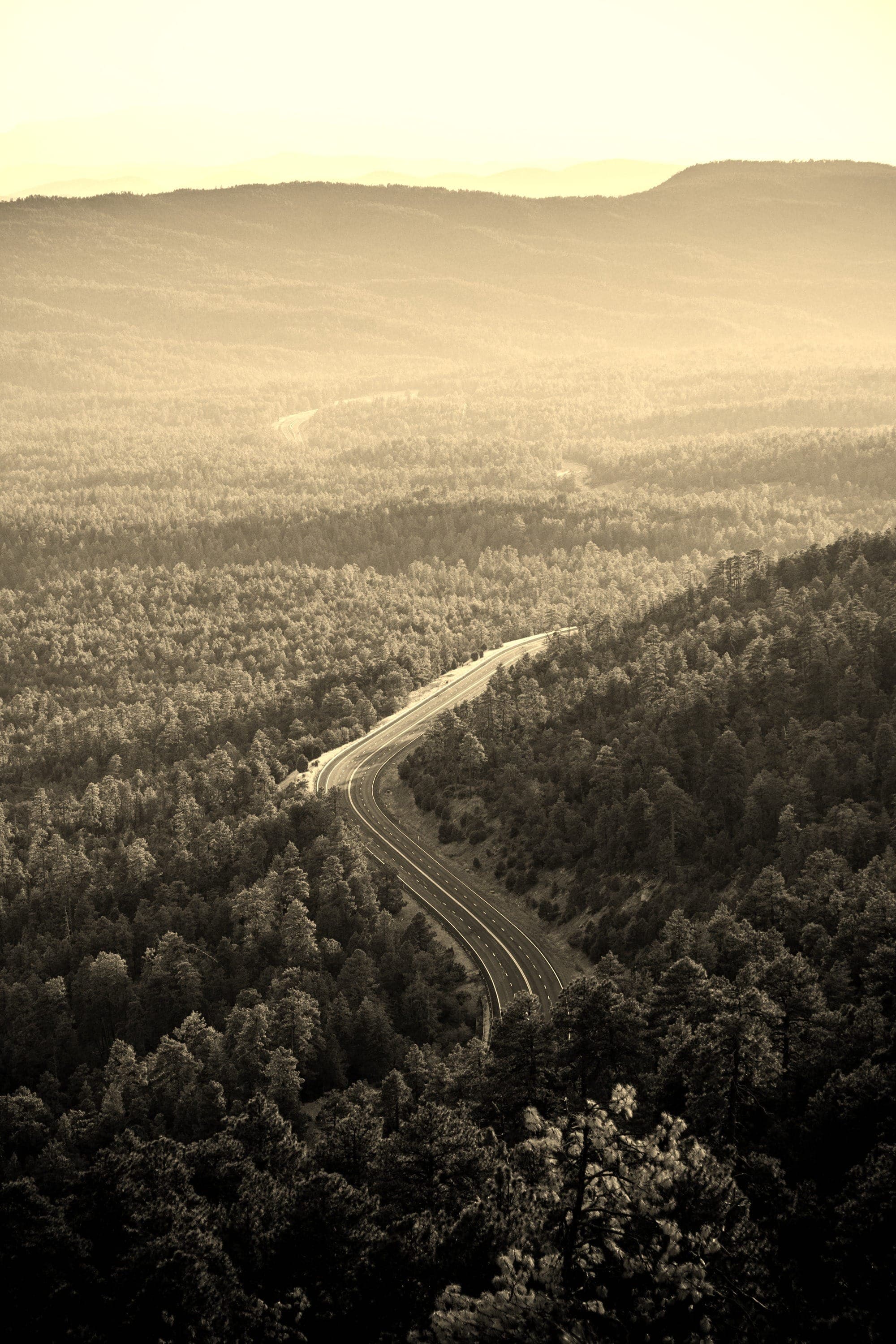 Journey to the C-Suite, are you ready?